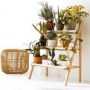 hogar y jardin